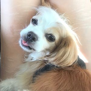 Meet your Posher, Helen